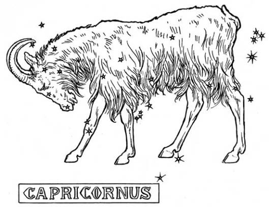 Capricorn