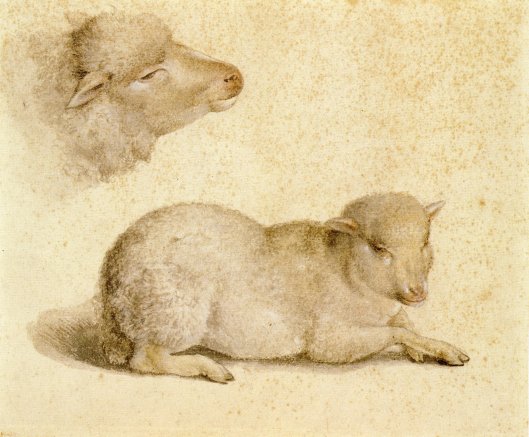 Resting_Lamb_and_Head_of_a_Lamb,_by_Hans_Holbein_the_Younger