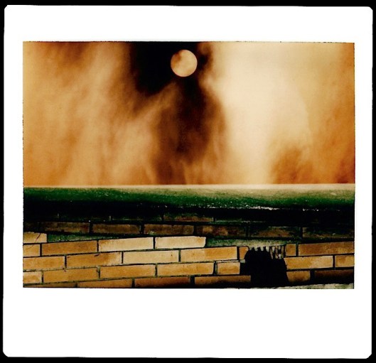 I love this Kodak Instant Photo by photographer Augusto De Luca, shared under Creative Commons Attribution-Share Alike 2.0 Generic Thank you, Augusto!