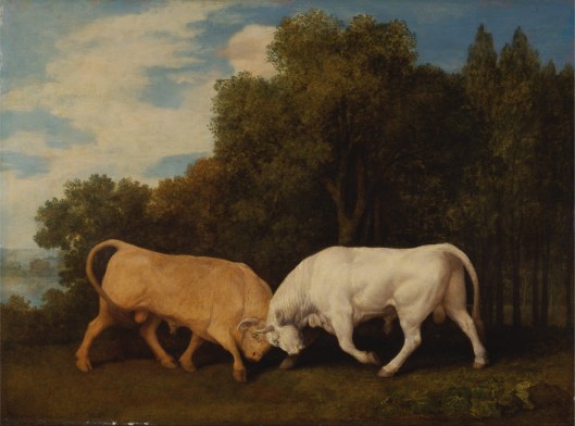'Bulls Fighting' George Stubbs 1786 {{PD-Art}}