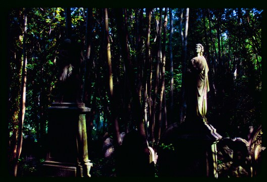 Bristol Cemetery, UK http://commons.wikimedia.org/wiki/Category:Images_created_by_Oliver_Casta%C3%B1o_Mallorca by http://commons.wikimedia.org/wiki/User:Skapheandros http://creativecommons.org/licenses/by-sa/3.0/deed.en