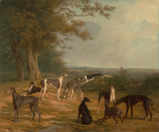 'Nine Greyhounds in a Landscape' Jacques-Laurent Agasse c1807 {{PD}}