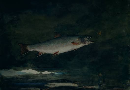 Cancer, use the inspiration and healing potential currently available in Pisces to set you on your way. 'Leaping Trout' Winslow Homer 1889 {{PD}}