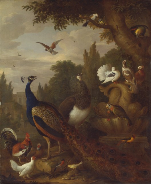 You could even charm the most cantankerous Juno in your life right now, Virgo. 'Peacock, peahen, parrots, canary, and other birds in a park' by Jakob Bogdani c1709 {{PD}}