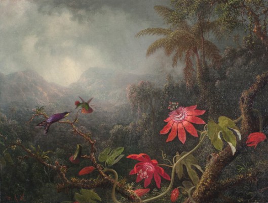 'Passion Flowers with Three Hummingbirds' by Martin Johnson Heade, c1875 {{PD}}
