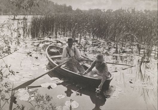 Peter Henry Emerson - 'Gathering Waterlilies' Platinum print from 1886 {{PD}}