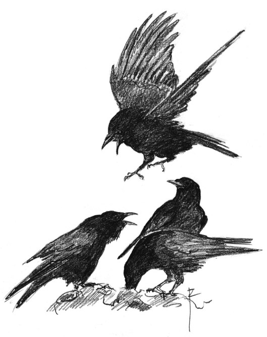 By Jos Zwarts -CC BY-SA 4.0, https://commons.wikimedia.org