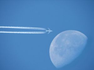 Flickr: Fly Me To The Moon by Andreas https://www.flickr.com/people/56963596@N00 Creative Commons Attribution-Share Alike 2.0 Generic