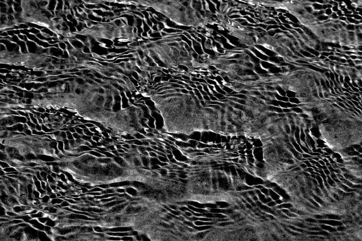 Photo by D Sharon Pruitt, Pink Sherbet Photography from USA Creative Commons Attribution 2.0 Generic