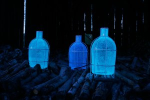 If these were in Alice's world, they'd have tags that read, 'Drink Me'. Arjen Bangma, Transnatural director CC Attribution-Share Alike 4.0 International