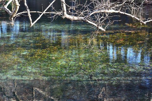 By Eric Carrasco-Nuñez - Own work, CC BY-SA 4.0, https://commons.wikimedia.org/w/index.php?curid=49829117