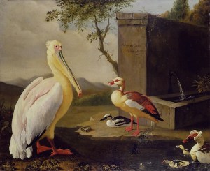 'Pelicans and ducks in a mountain landscape' Adriaen Coorte 17th century {{PD}}