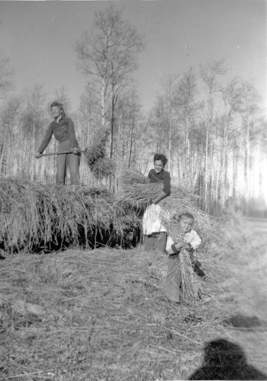 Little Smoky, Alberta, 1946. A14287 Provincial Archives of Alberta