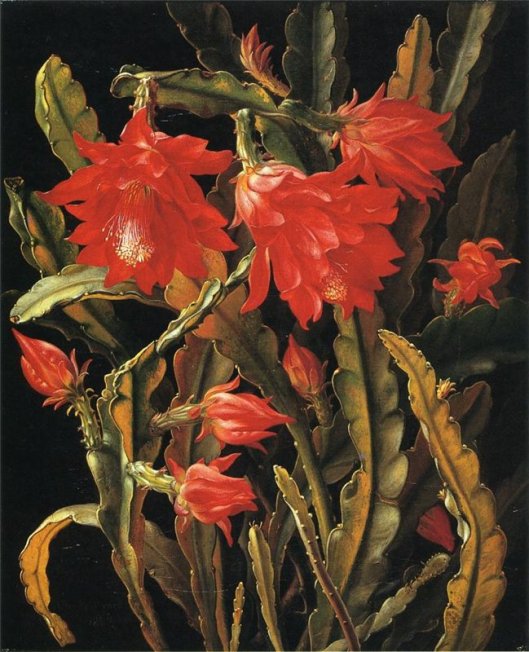 By Christian Juel Mollback 'Cactus with Scarlet Blossoms', Irina, 2014-05-10 22:35, CC BY 2.0, https://commons.wikimedia.org/w/index.php?curid=38413341